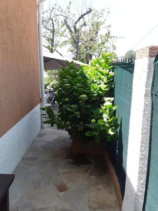 Petit Coin De Paradis Évisa Extérieur photo